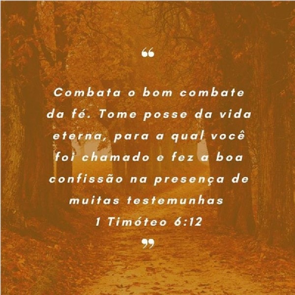 1 Timoteo 6:12