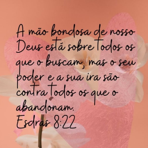 Esdras 8:22