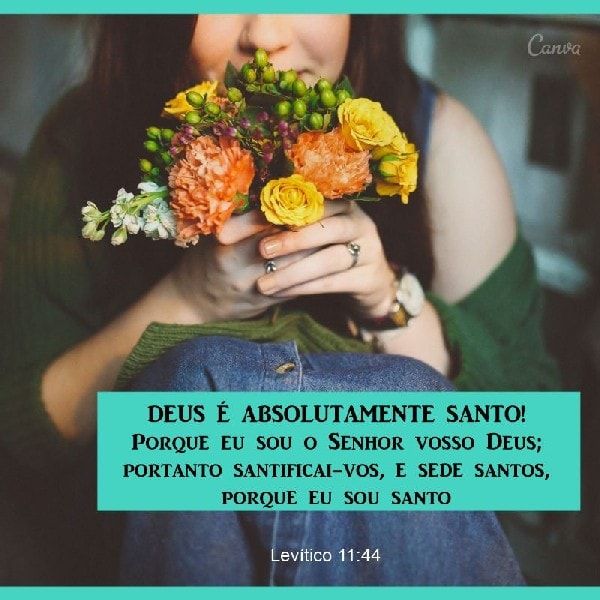 Levítico 11:44