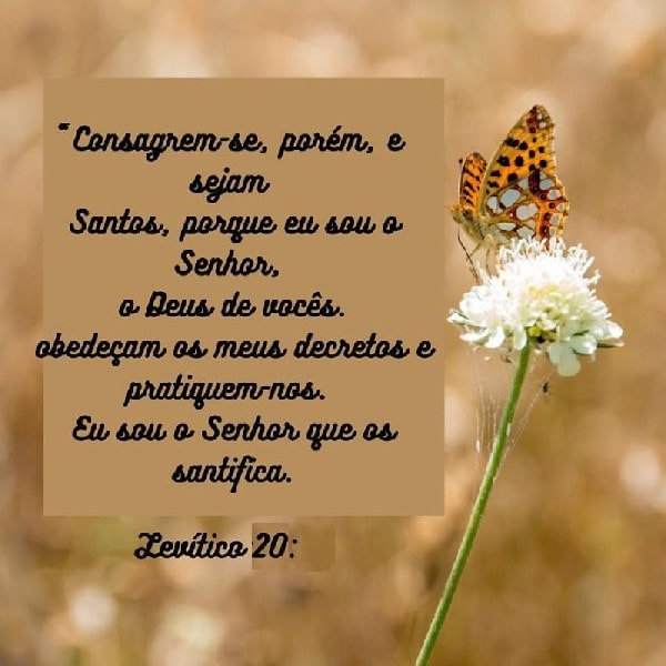 Levítico 20:7-8