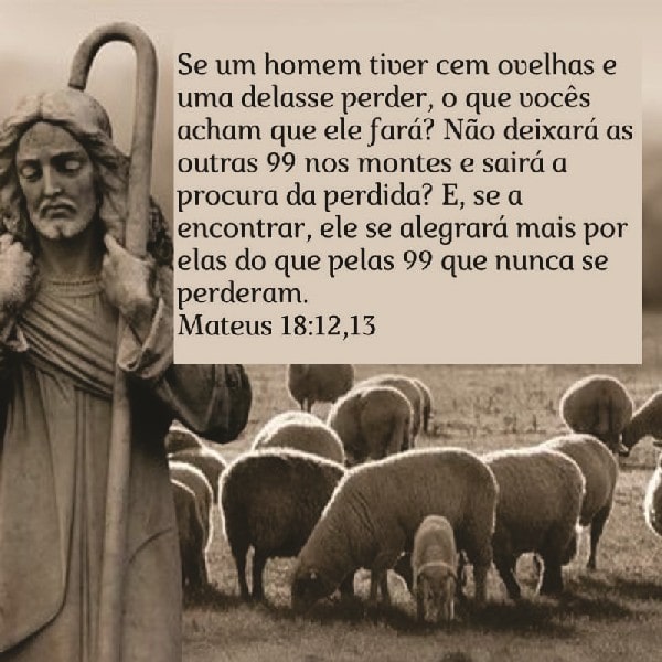 Mateus 18:12-13