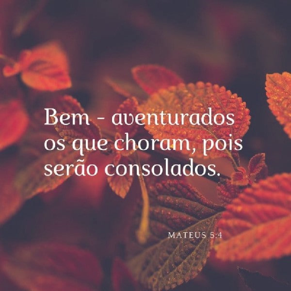 Mateus 5:4