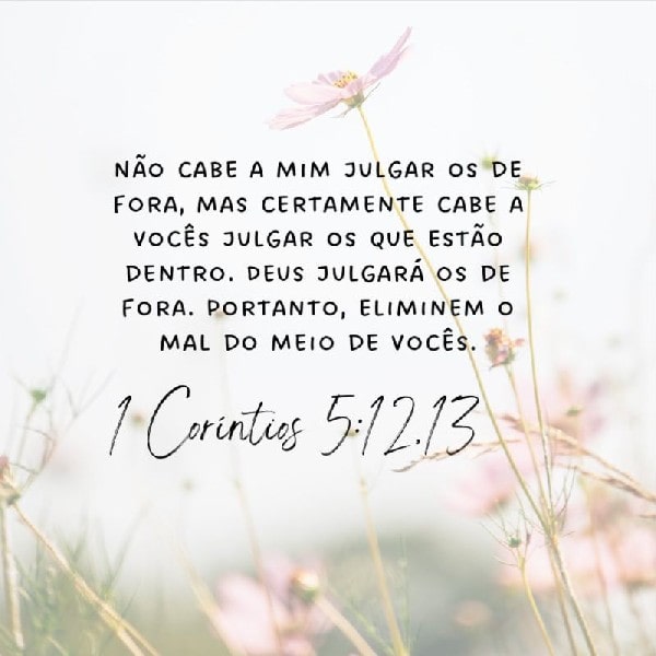 1 Coríntios 5:12-13