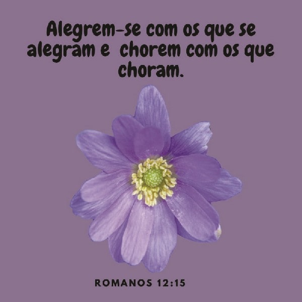 Romanos 12:15