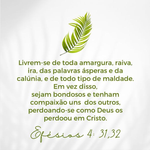 Efésios 4:31-32